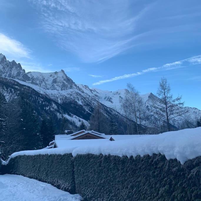 Belle Vue Des Praz Appartement Chamonix Buitenkant foto