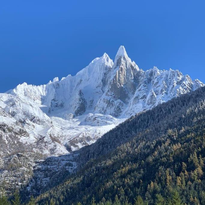 Belle Vue Des Praz Appartement Chamonix Buitenkant foto